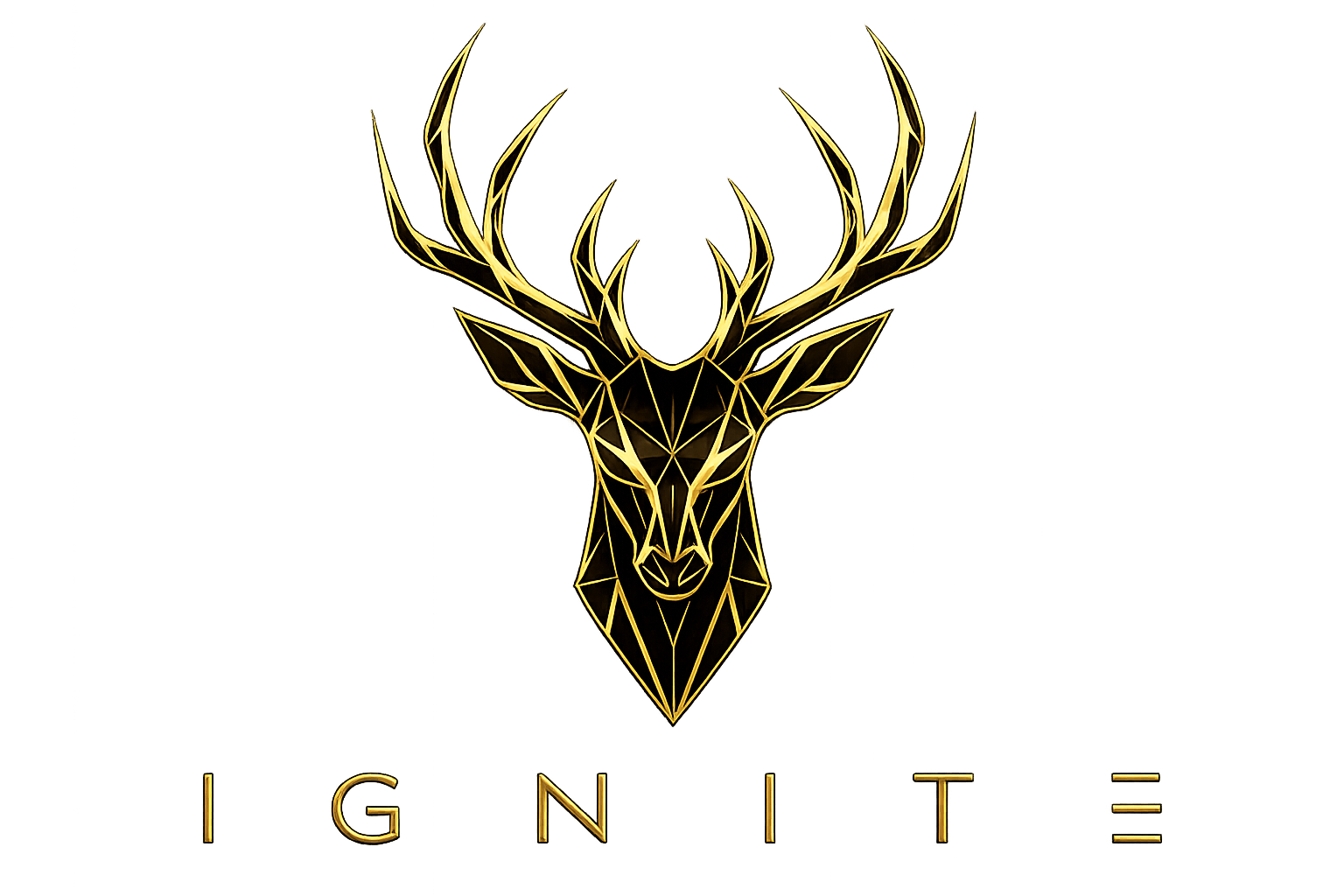 Ignite